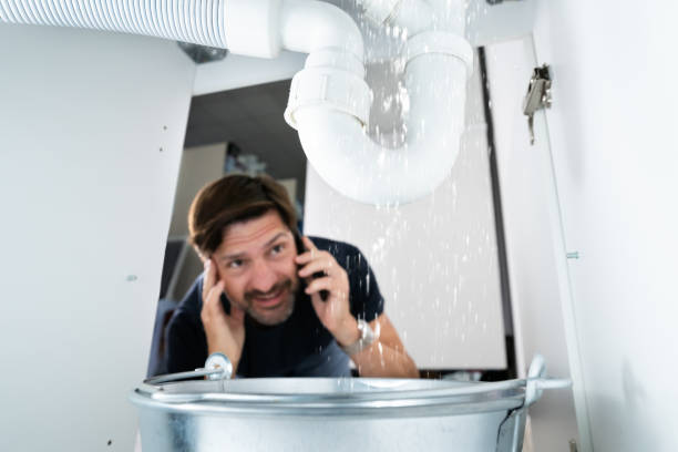 Best Clogged Drain Plumber  in Burbank, WA